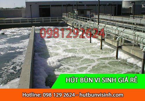 Hút bùn vi sinh Huyện Hóc Môn dịch vụ có uy tín không ?