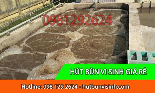 Hút bùn vi sinh quận Bình Thạnh quy trình xử lý chuyên nghiệp