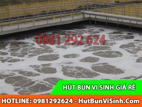 Hút bùn vi sinh quận Phú Nhuận có bao nhiêu loại phổ biến?